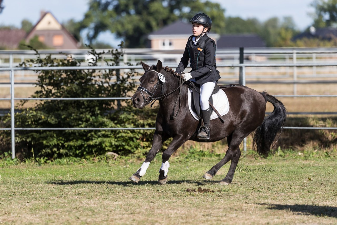 Bild 252 - Pony Akademie Turnier